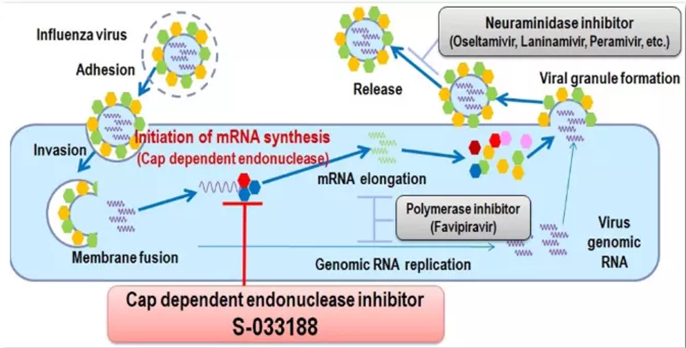 流感最新数据，感染高峰持续，科学防护是关键