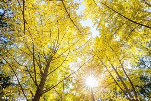 6月3日上升星座，揭开你外在人格的神秘面纱