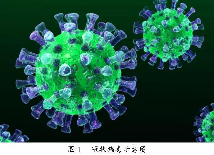 广东近期主要流行病毒解析，新型冠状病毒与季节性流感需警惕