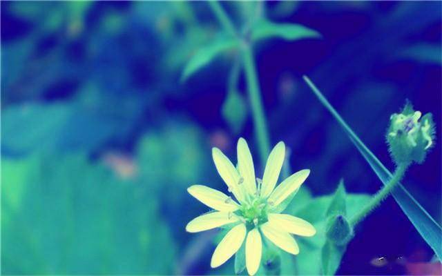 92年属猴人的33岁,破茧成蝶,人生下半场才刚刚开始 92年属猴人的33岁,破茧成蝶,人生下半场才刚刚开始