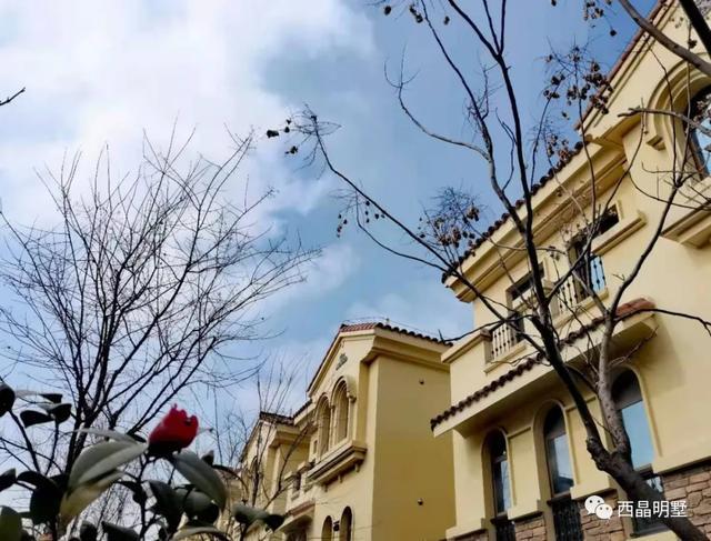 新疆石河子，戈壁滩上崛起的兵团新城