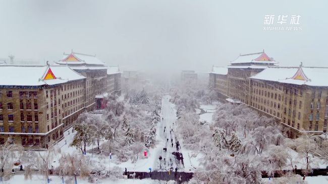 哈尔滨疫情解封时间，寒冬渐远，春归冰城