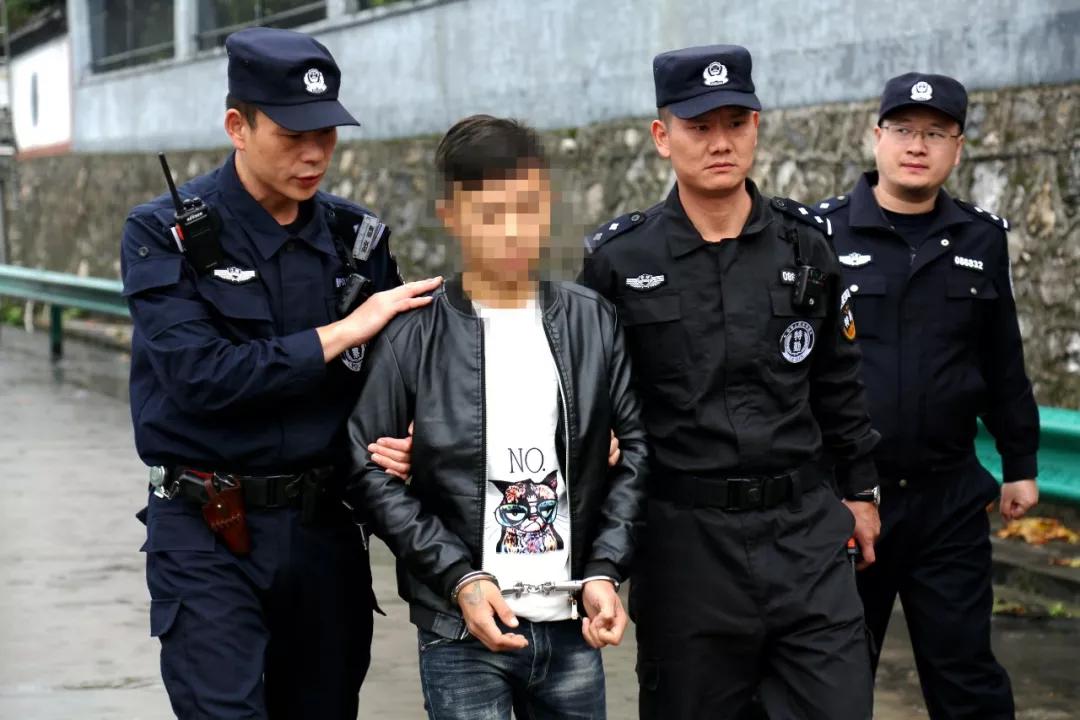 杭州涉毒案件，城市安全与法治建设的挑战与应对