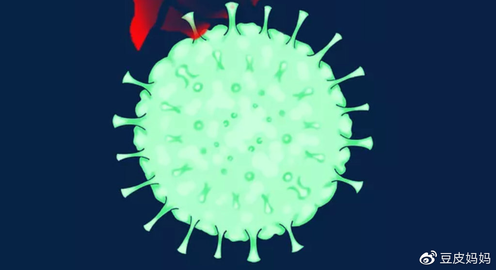 冠状病毒到底是什么引起的？