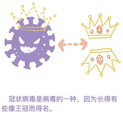 冠状病毒到底是什么引起的？