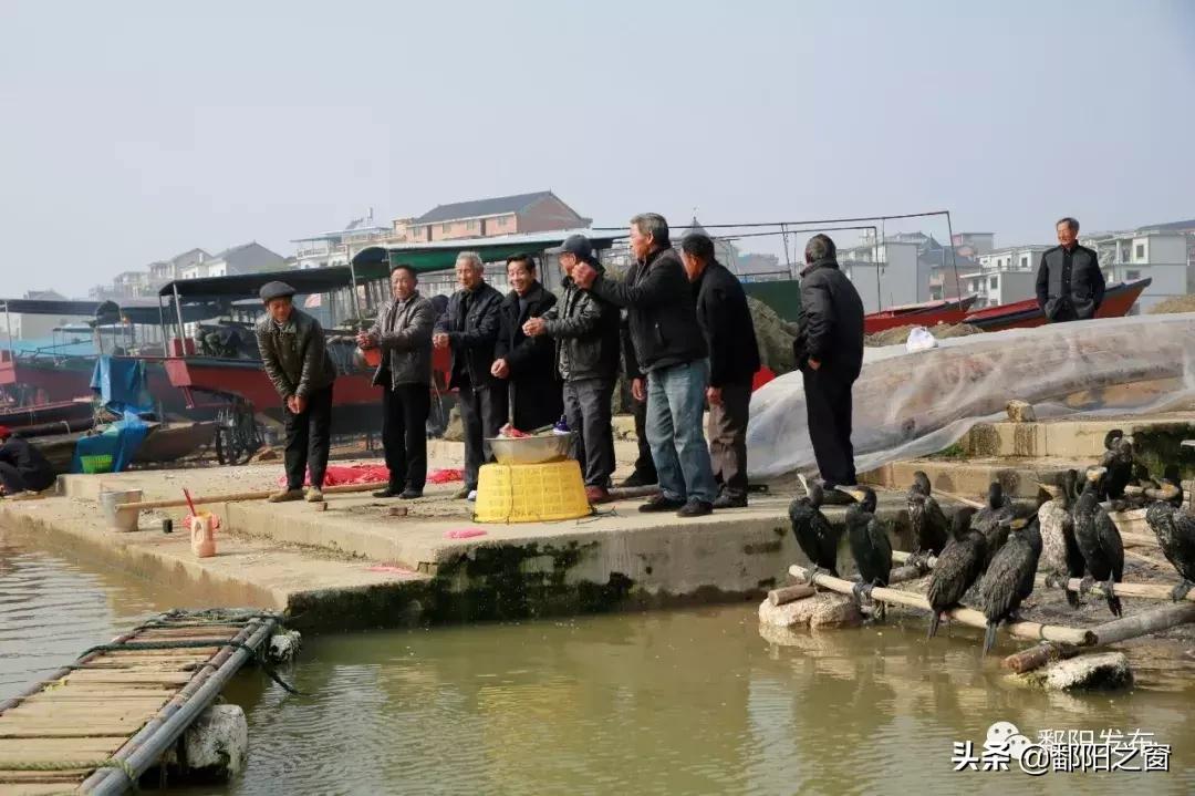 捕鱼假日贴吧，虚拟渔场里的温情与记忆