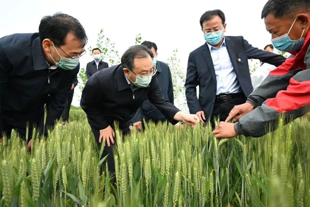 连云港市疫情防控领导小组，筑牢港城健康防线的坚强核心