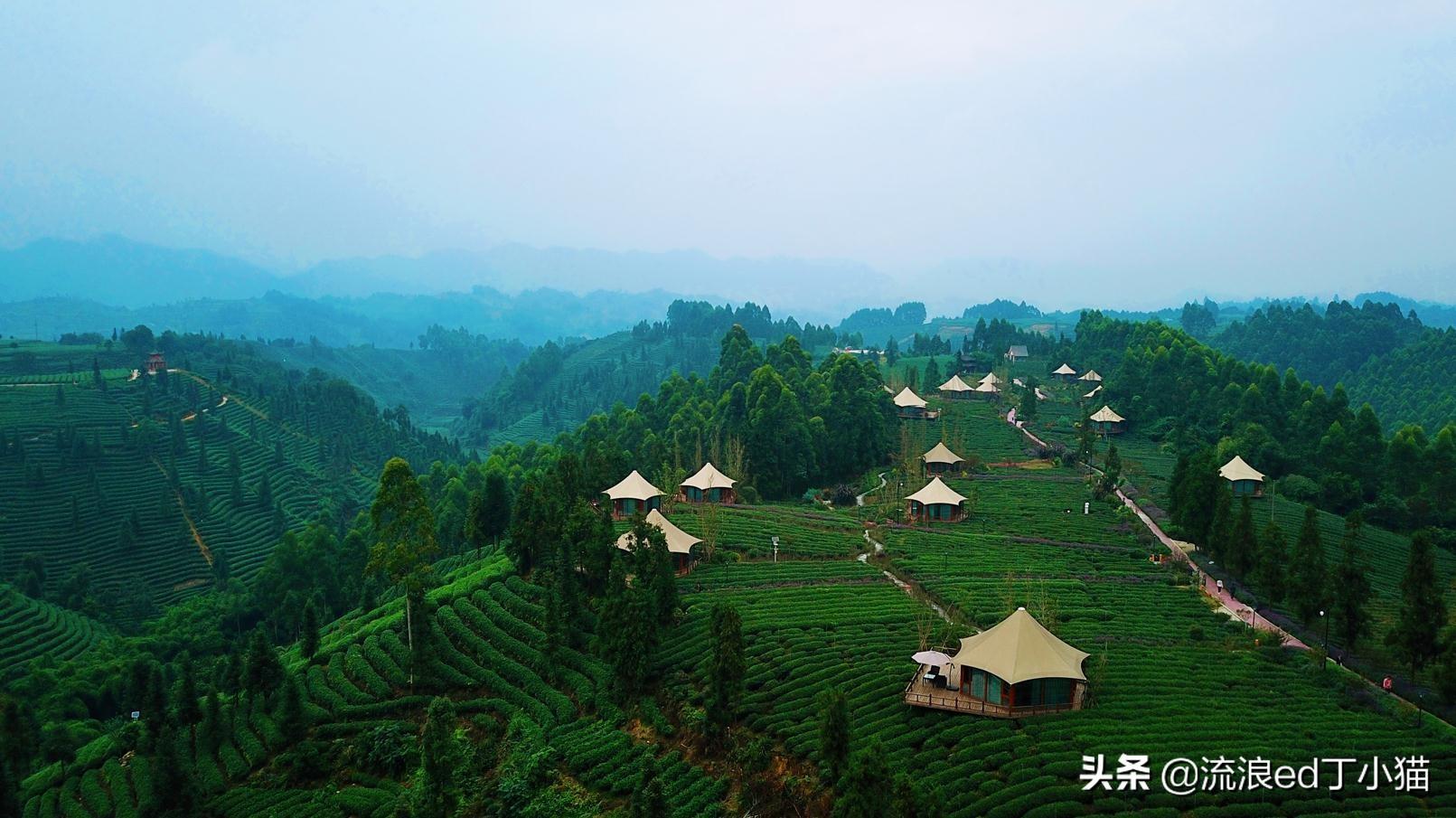 四川非必要不离川，非常时期的非常守护