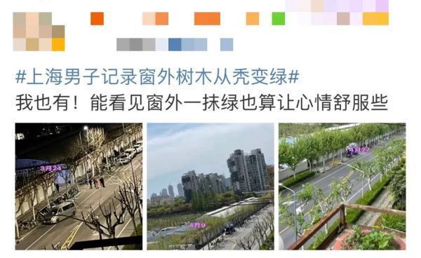 疫情下的深圳坚守，封城时间里的速度与温度