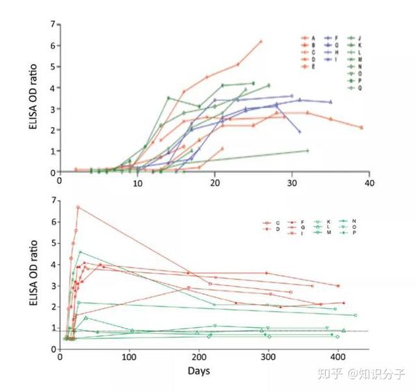新冠抗体能保护我们多久？详解抗体存活时间与免疫记忆