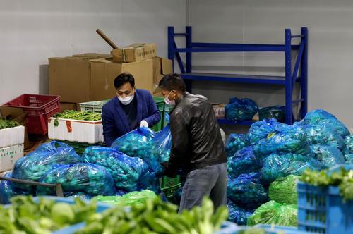 上海菜篮子保卫战，抢种蔬菜8万多亩，全力保障城市供应