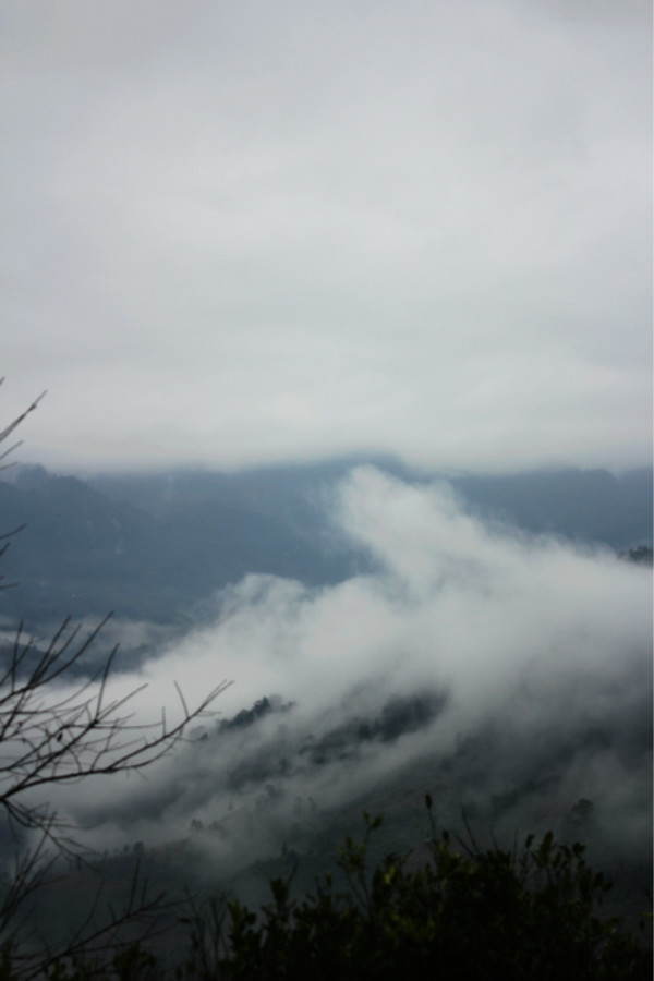 麻栗坡，文山边陲的绿韵与风骨