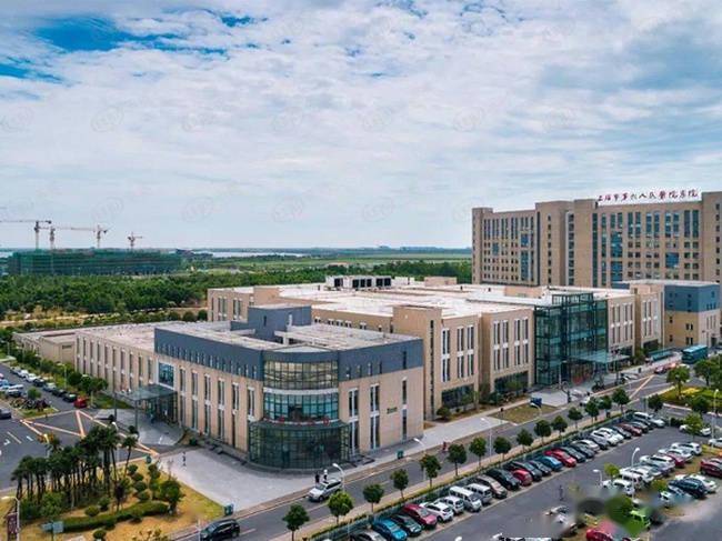 烟台青华中学百度百科—探秘港城知名学府的成长之路