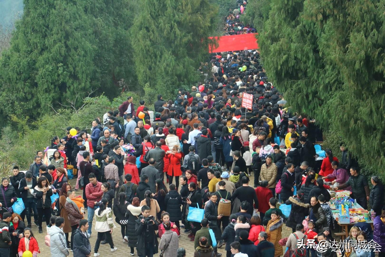 全球新冠疫情最新消息，今日统计与趋势分析