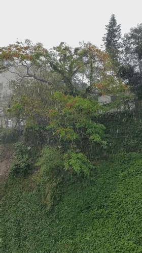 厦门疫情起始，一座海滨城市的猝不及防