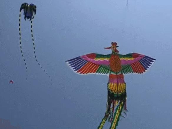 2020年五一假期，山东高速公路免费通行指南