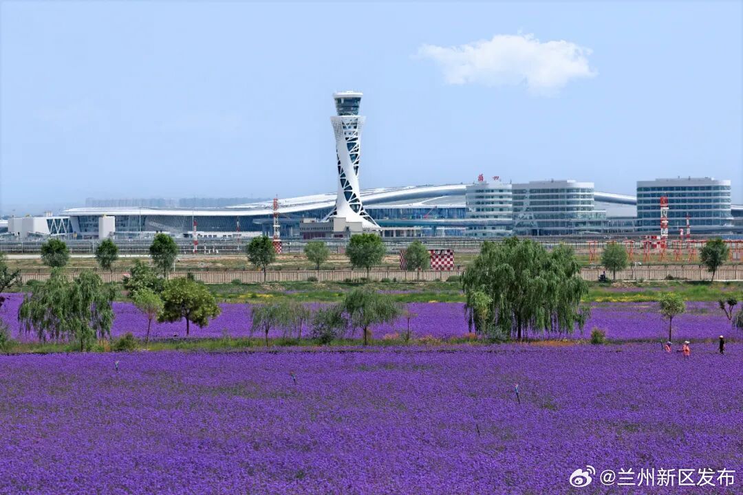 兰州新区最新动态，打造西部发展新高地，多个重点项目加速推进