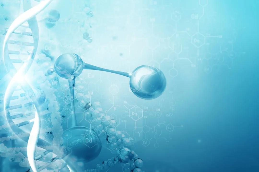 武汉零号病人,迷雾中的疫情起点与未竟的追问 武汉零号病人,迷雾中的疫情起点与未竟的追问