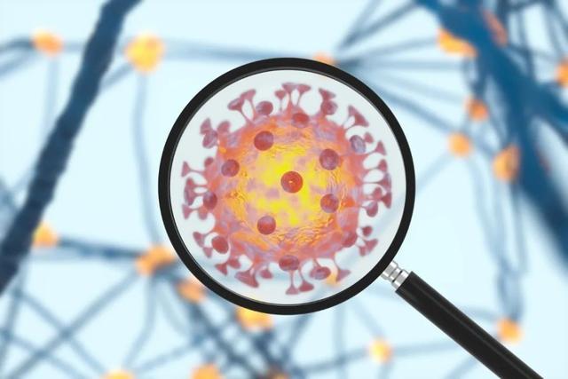 台湾新增511例本土病例，疫情热点区域与防控措施解析