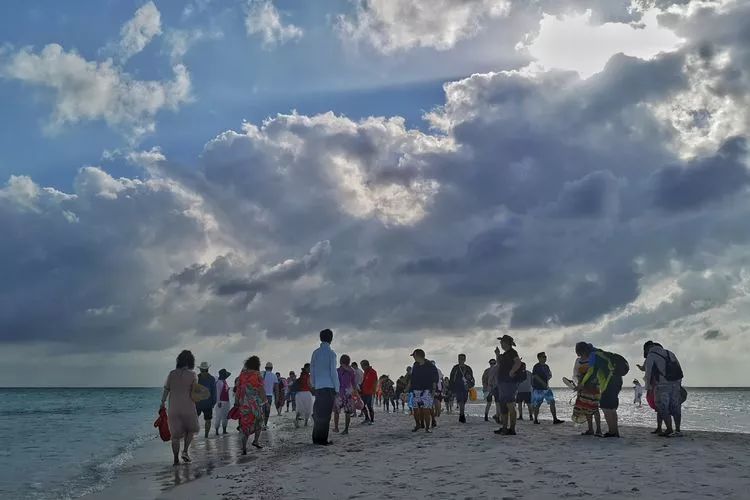 海阔天空免费下载网站，便捷背后的隐忧与选择