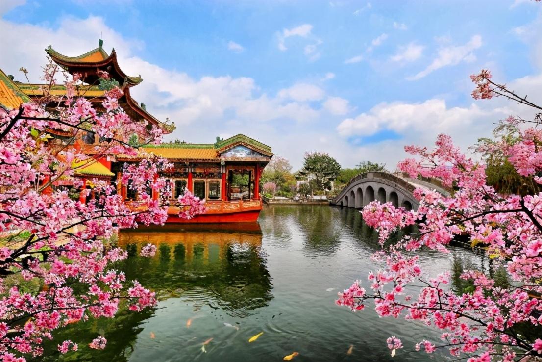 清明踏青正当时，高速免费出行全攻略