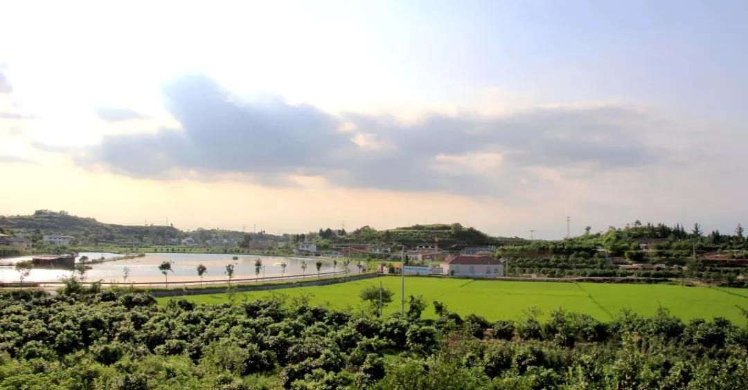 清明踏青正当时，高速免费出行全攻略