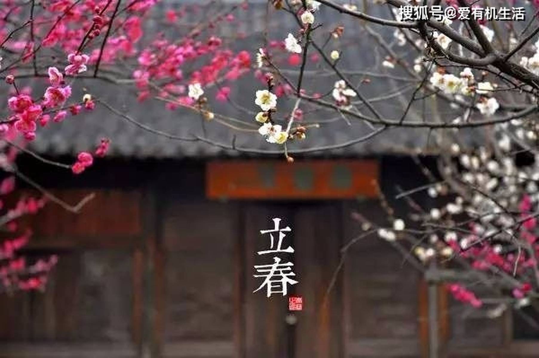 2021年大春是什么时辰