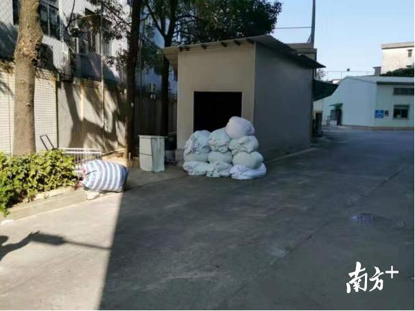 广东东莞疫情态势观察，感染人数波动下的防控应对与民生韧性