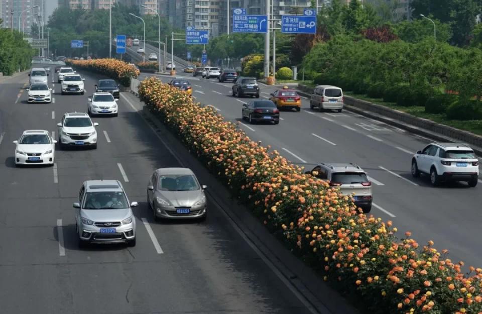 北京限行轮换政策，城市交通管理的智慧之举