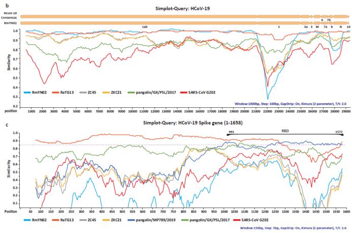 MERS的症状，识别与预防的关键