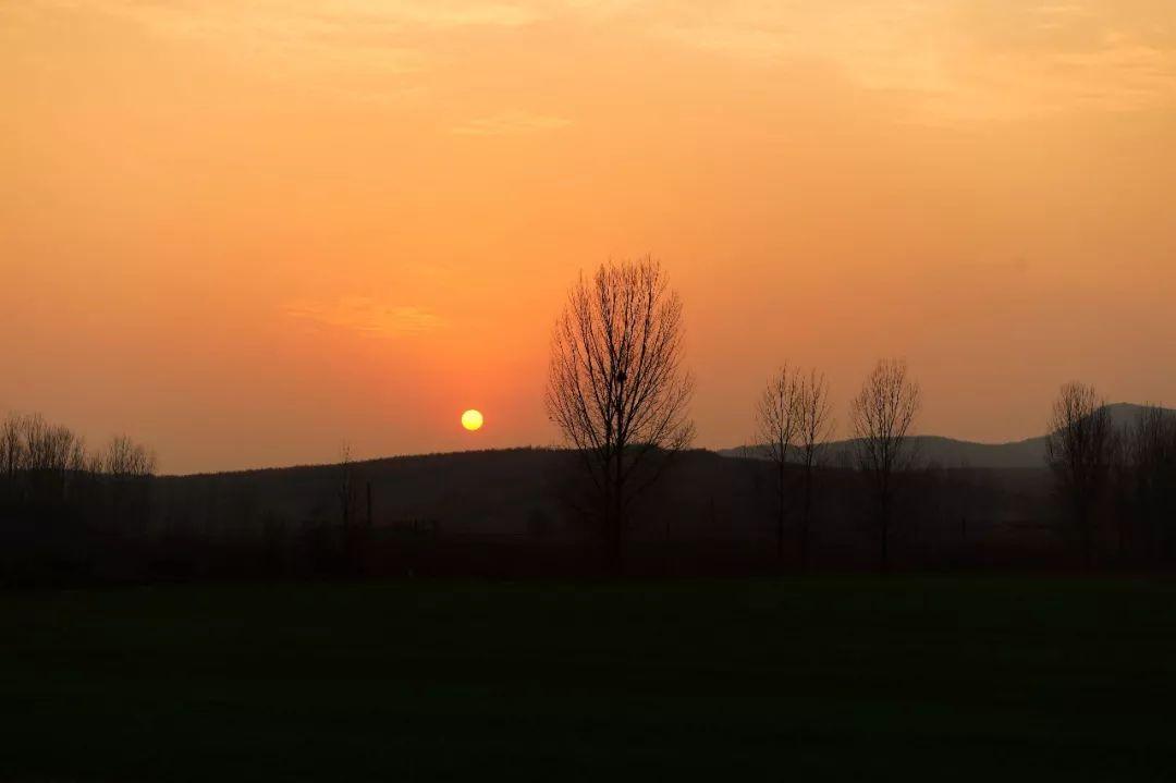 部落守卫战迷雾狩猎玩法全解析，征服未知，赢取丰厚奖励！