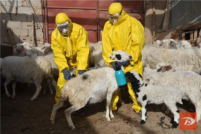 当快递员感染病毒，连接千家万户的链条，如何筑牢防疫堤坝？