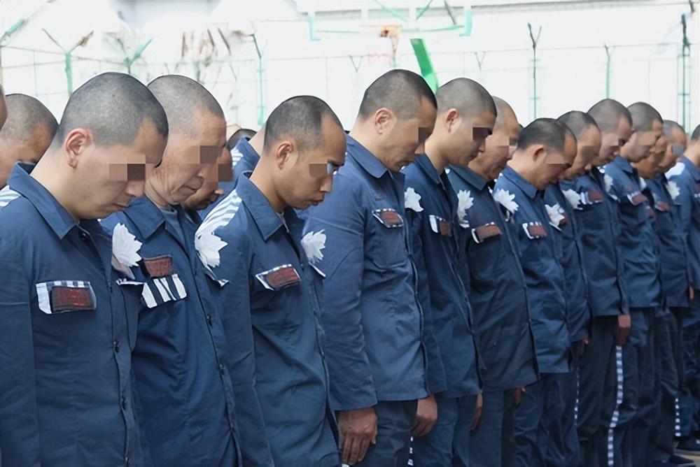 清明免费高速路，一场亲情与拥堵的双向奔赴