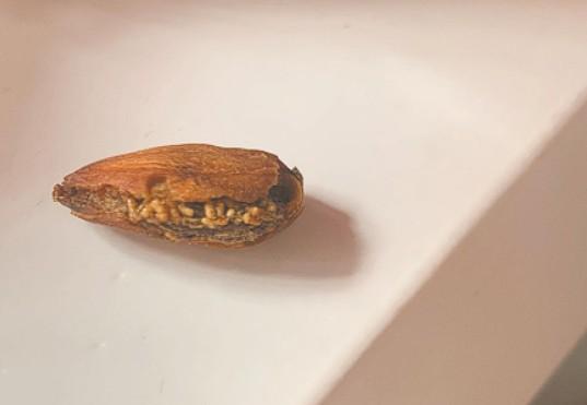 百事上市了吗？深入解析百事公司的资本市场之路