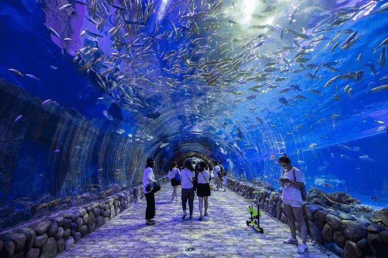 陕西新增1例本土确诊病例，常态化防控不容松懈