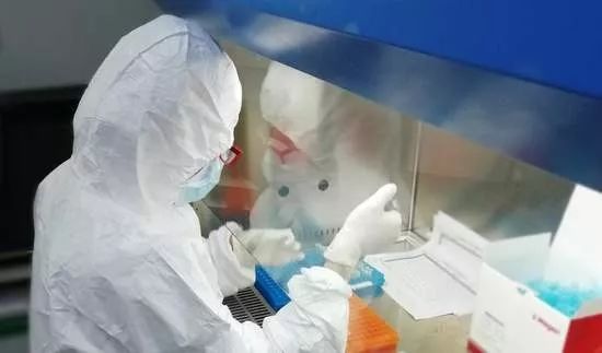 核酸检测阴性就是没问题？科学解读检测结果的真正含义