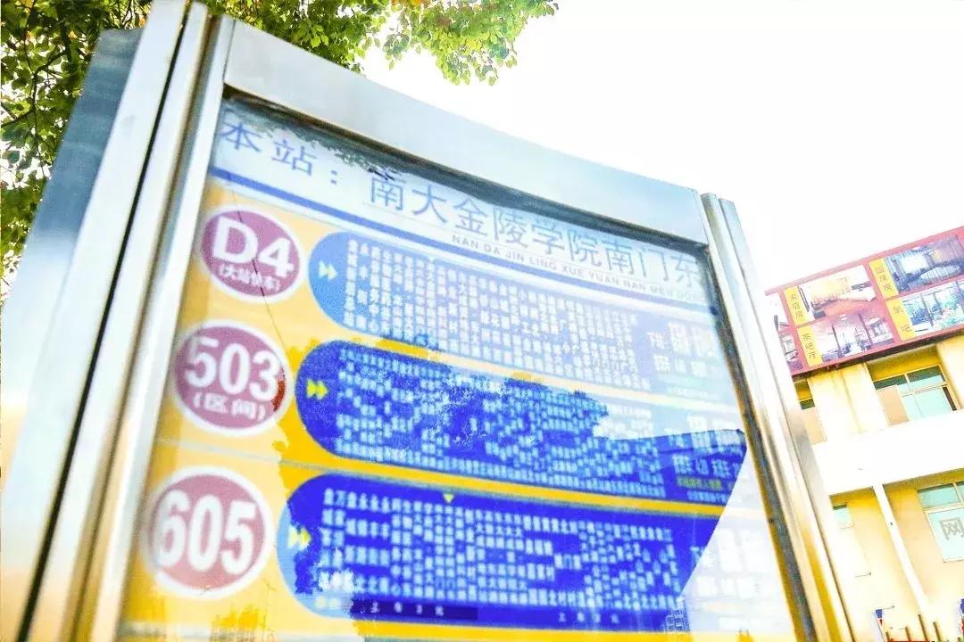 南大金陵学院教务系统，通往学业的数字枢纽与青春记忆的载体