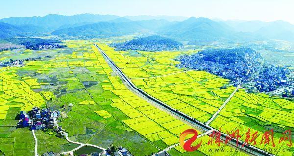 株洲新闻网近期热点聚焦，产业升级、民生改善与文化繁荣共绘发展新图景