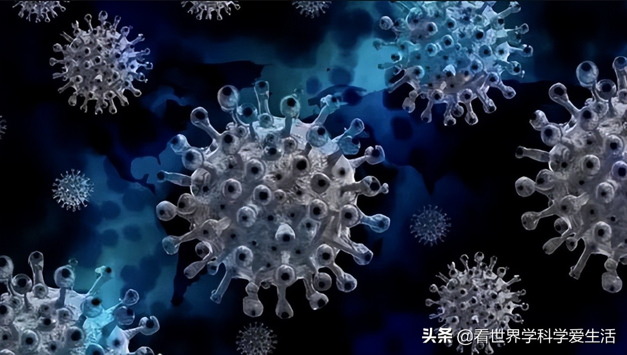 新冠病毒的变异之旅，究竟发生了多少次变异？