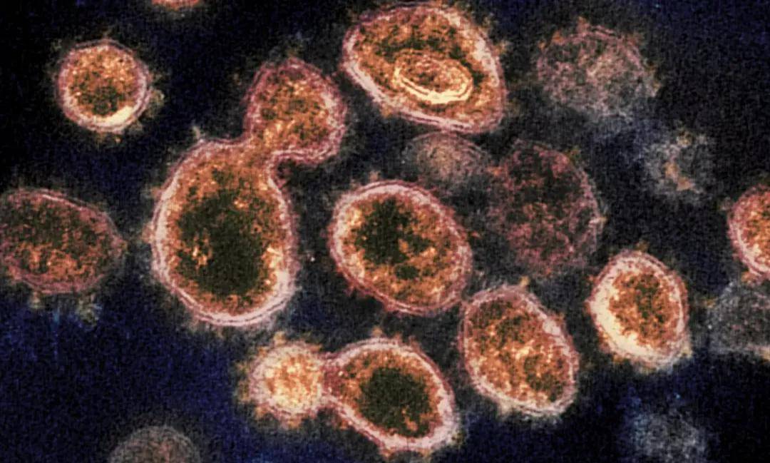 病毒一周变异，看不见的赛跑与人类的应对