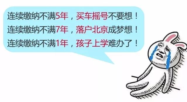 北京摇号，一场没有硝烟的家庭积分战争