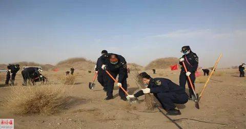 风沙中的坚守，额济纳旗形势严峻，考验与希望并存