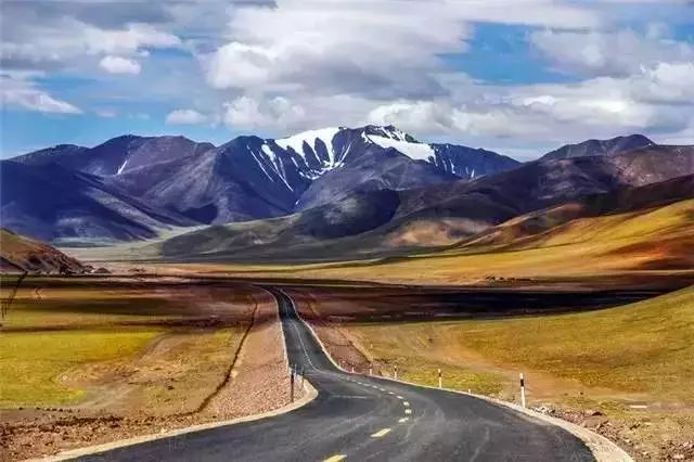 风沙中的坚守，额济纳旗形势严峻，考验与希望并存