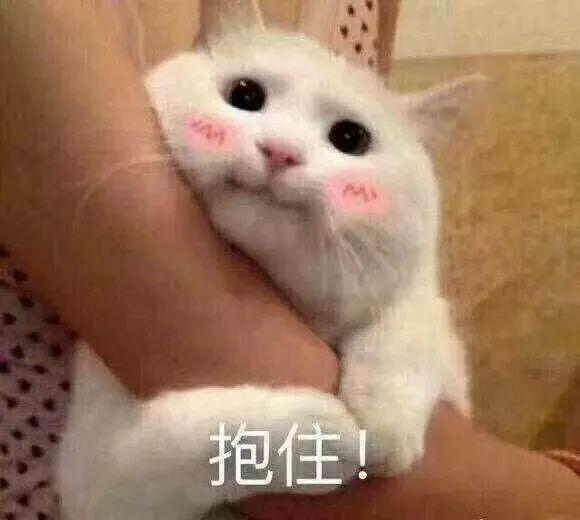 2021年韵达快递停运时间表,春节服务安排与用户指南 2021年韵达快递停运时间表,春节服务安排与用户指南