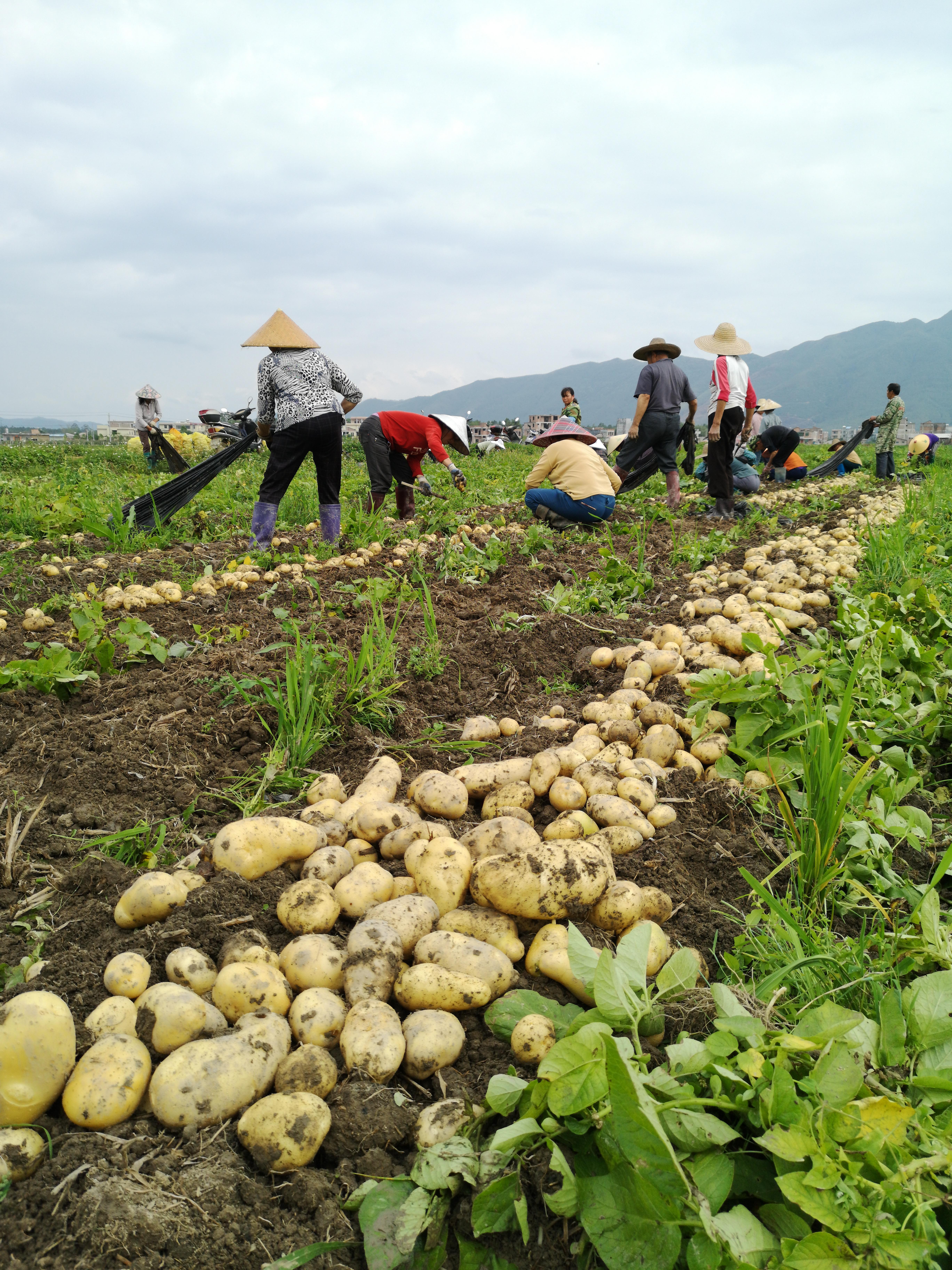 广西最新疫情情况今日通报，新增本土确诊病例持续下降，防控措施成效显著