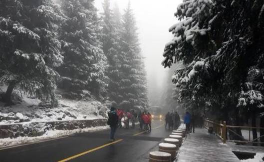 风雪伊犁夜，300余名游客滞留背后的温暖守护