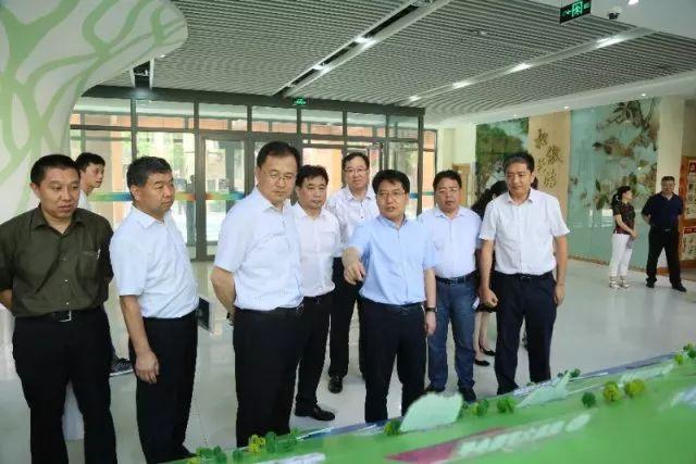 青岛高中分布图，教育资源与城市发展脉络的交织