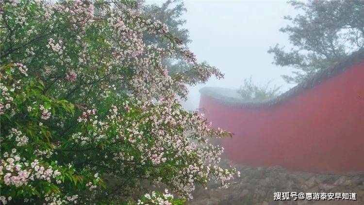 守望黎明，愿大庆疫情早日云开雾散