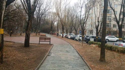 龙跃苑二区属于什么街道？详细归属及社区信息解读