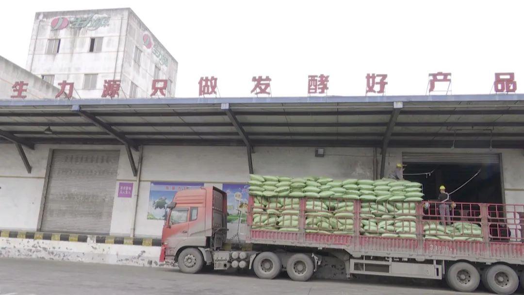 邛崃疫情最新情况发布，科学防控与全民行动共筑安全防线